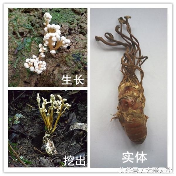 淮南支队联合淮南人民广播电台制作播出《消防安全大家谈》专题节目“xingkong.com”(图4)