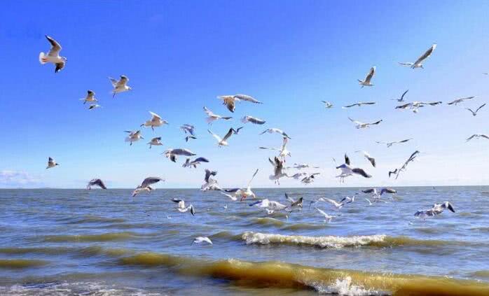 星空体育官网_幼儿安全教育小常识