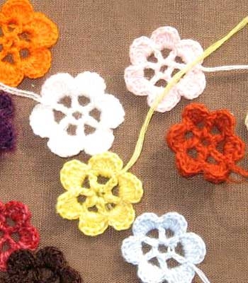 “星空体育官网”2014年成都市全兴小学对口中学