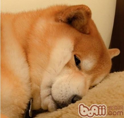 
七首诗词 题目只有一个字 却依然流传千古_星空体育官网(图2)