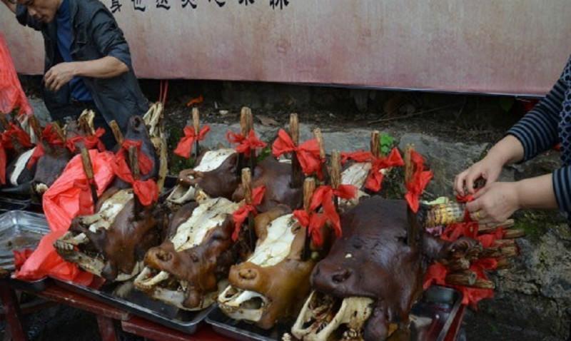 欢歌盛世喜迎国庆——渑池县尚德小学举行“迎国庆爱国歌曲大家唱