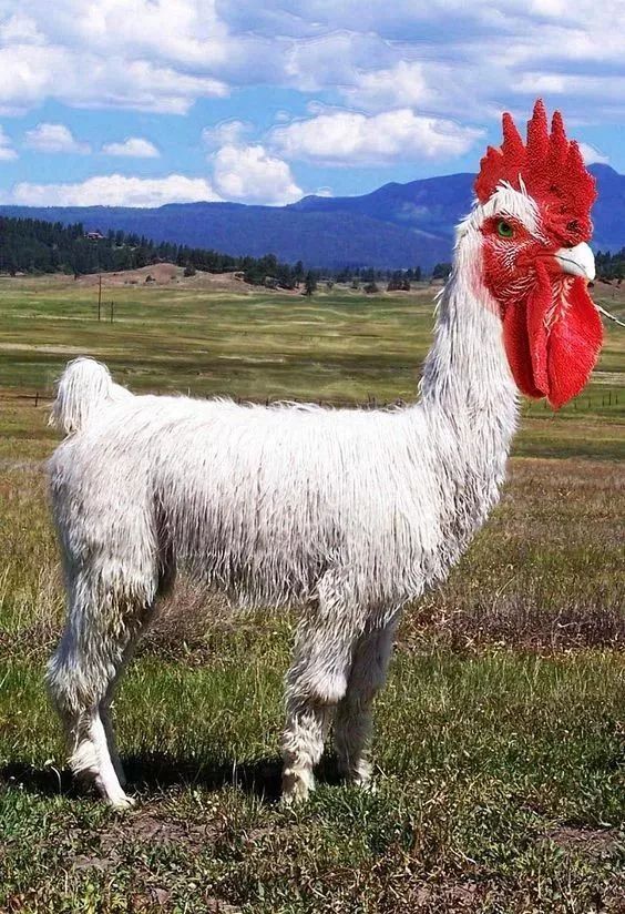 贵州贵阳消防指导派出所开展今冬明春消防安全检查【星空官网登录】(图2)