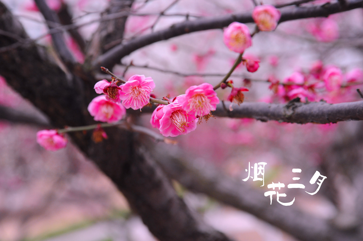 xingkong.com-萍乡支队扎实推进“消防融入品牌”宣传工作(图3) xingkong.com-萍乡支队扎实推进“消防融入品牌”宣传工作(图3)