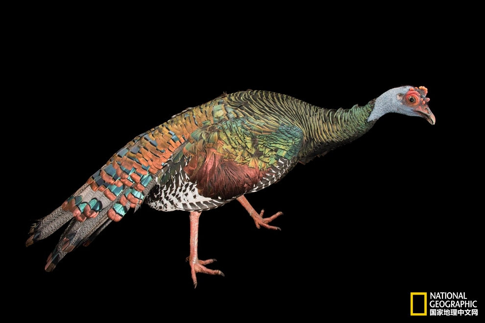 星空官网登录_宣检并重 新城消防走街串巷查火患唠平安